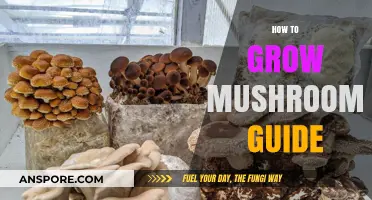 Mastering Mushroom Cultivation: A Comprehensive Guide to Growing Mushrooms