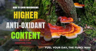 Boosting Mushroom Antioxidants: Proven Techniques for Healthier, Nutrient-Rich Harvests