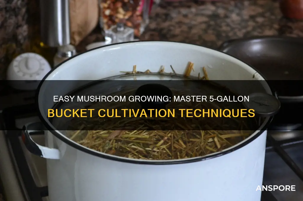 how to grow mushrooms in 5 gallon bucket