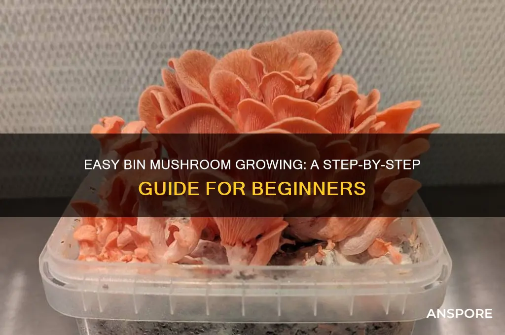 how to grow mushrooms in a bin