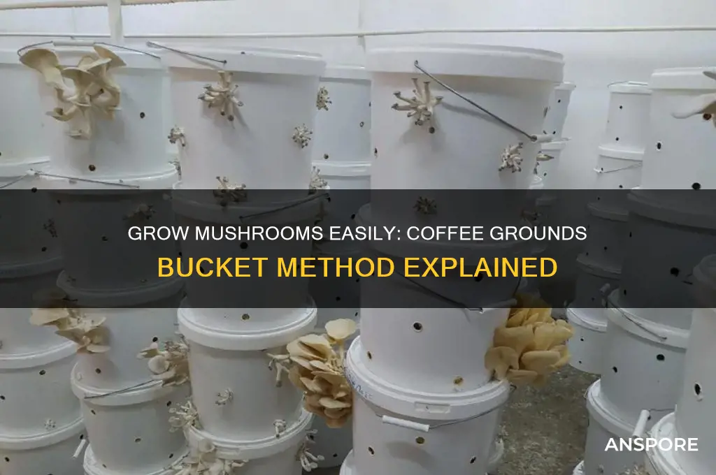 how to grow mushrooms in a bucket with coffee grounds