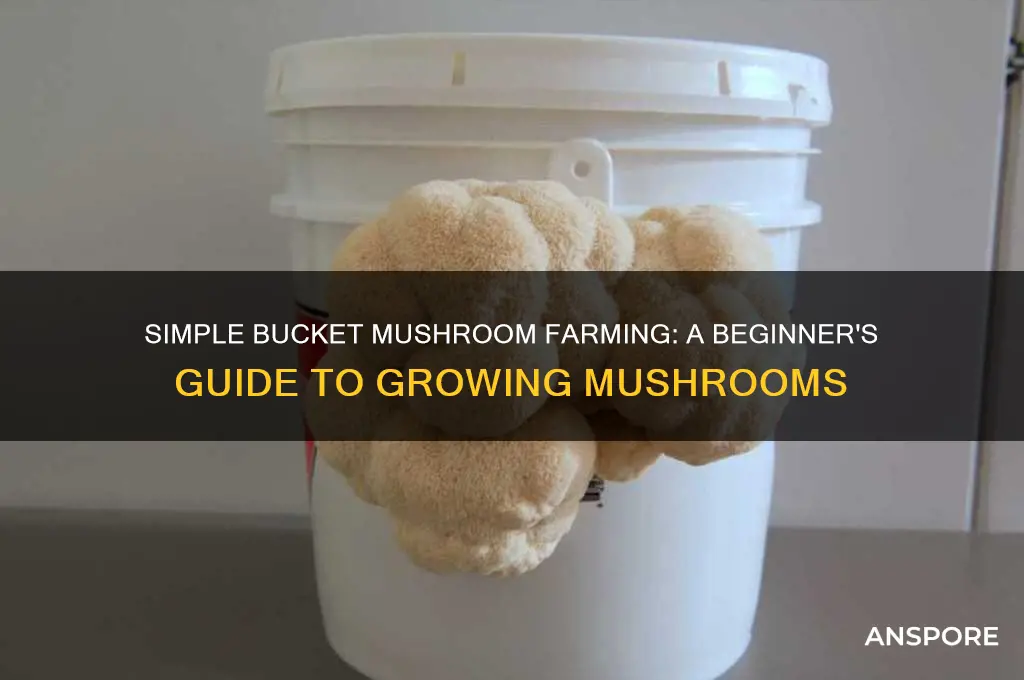 how to grow mushrooms in a bucket