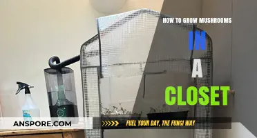 Closet Mushroom Cultivation: A Beginner's Guide to Growing Fungi Indoors