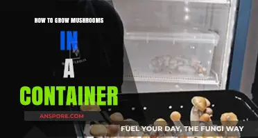 Easy Container Mushroom Growing: A Step-by-Step Guide for Beginners