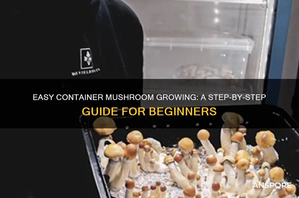 how to grow mushrooms in a container