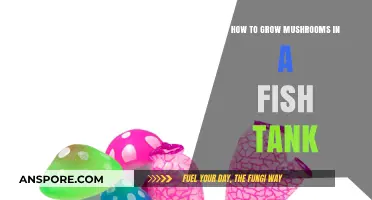 Aquatic Fungi Farming: Growing Mushrooms in Your Fish Tank