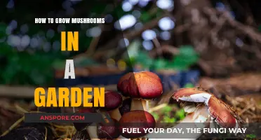 Easy Steps to Growing Mushrooms in Your Garden Successfully