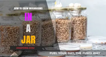 Master Mushroom Growing: Simple Steps for Jar Cultivation at Home