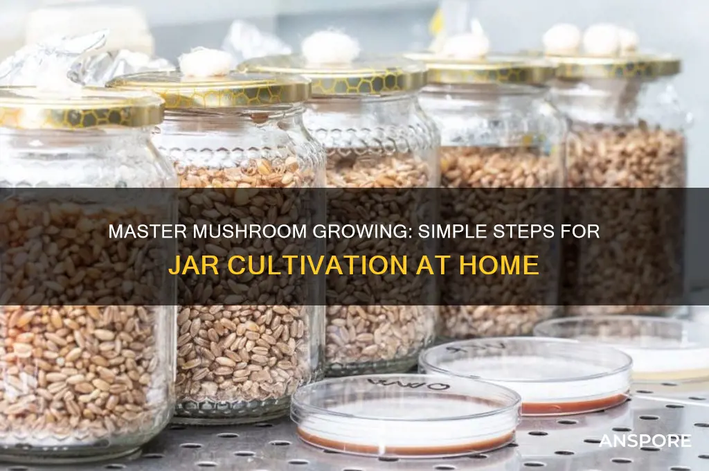 how to grow mushrooms in a jar