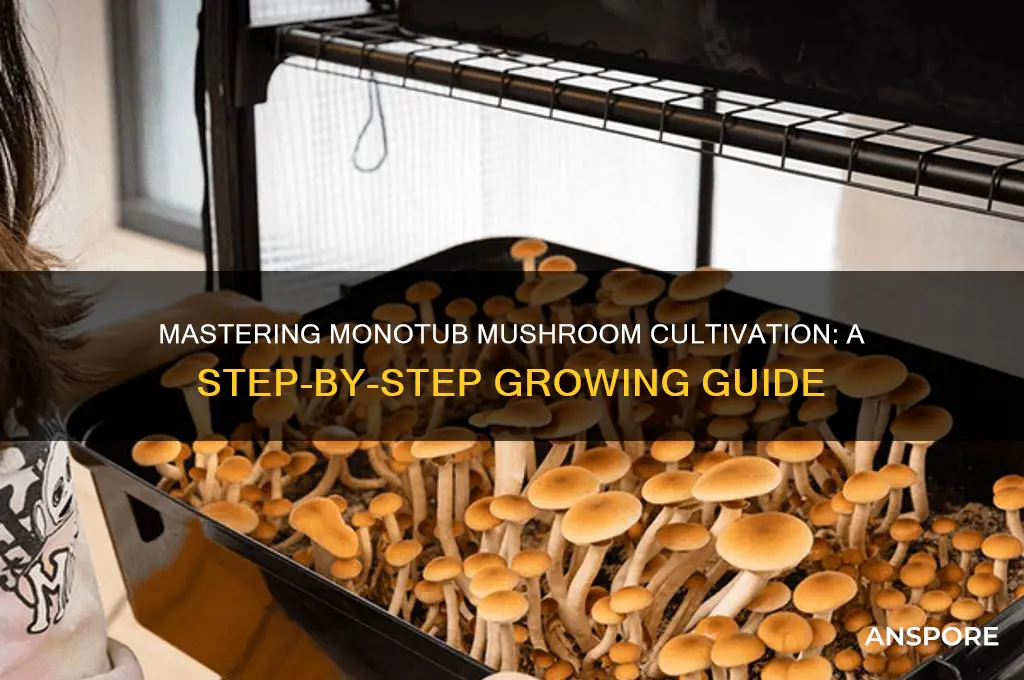 how to grow mushrooms in a monotub