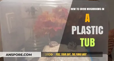 Easy Mushroom Growing: A Step-by-Step Guide Using Plastic Tubs