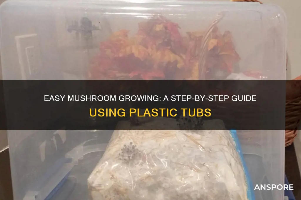 how to grow mushrooms in a plastic tub