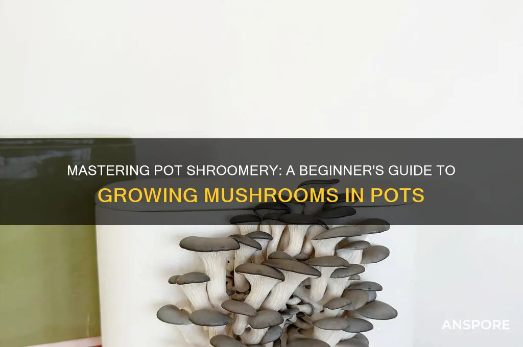 how to grow mushrooms in a pot shroomery
