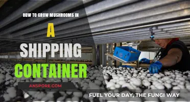 Growing Mushrooms in Shipping Containers: A Step-by-Step Guide