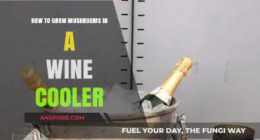 Grow Mushrooms Easily: Wine Cooler Cultivation Guide for Beginners