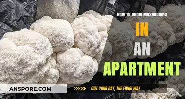 Urban Mushroom Farming: A Beginner's Guide to Growing Mushrooms Indoors