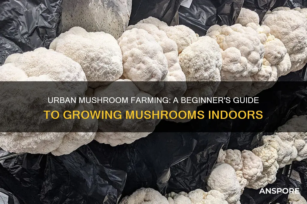 how to grow mushrooms in an apartment