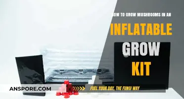 Easy Mushroom Growing: Master Inflatable Grow Kits Step-by-Step