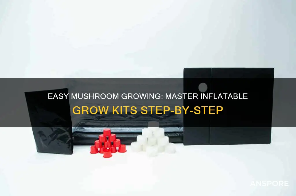 how to grow mushrooms in an inflatable grow kit