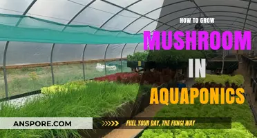 Growing Mushrooms in Aquaponics: A Sustainable Farming Guide