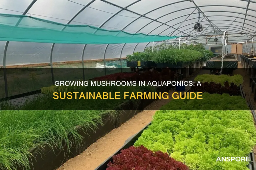 how to grow mushrooms in aquaponics