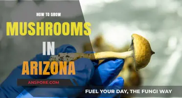 Growing Mushrooms in Arizona: A Desert Guide to Fungal Cultivation