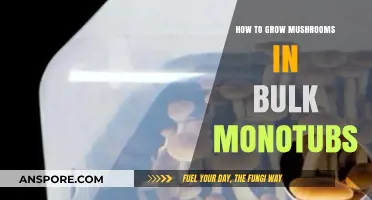 Master Bulk Mushroom Cultivation: Monotub Growing Techniques Revealed