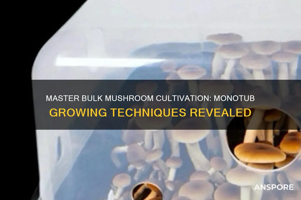 how to grow mushrooms in bulk monotubs
