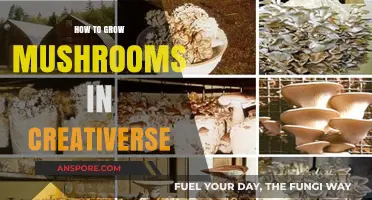 Mastering Mushroom Cultivation in Creativerse: A Step-by-Step Guide