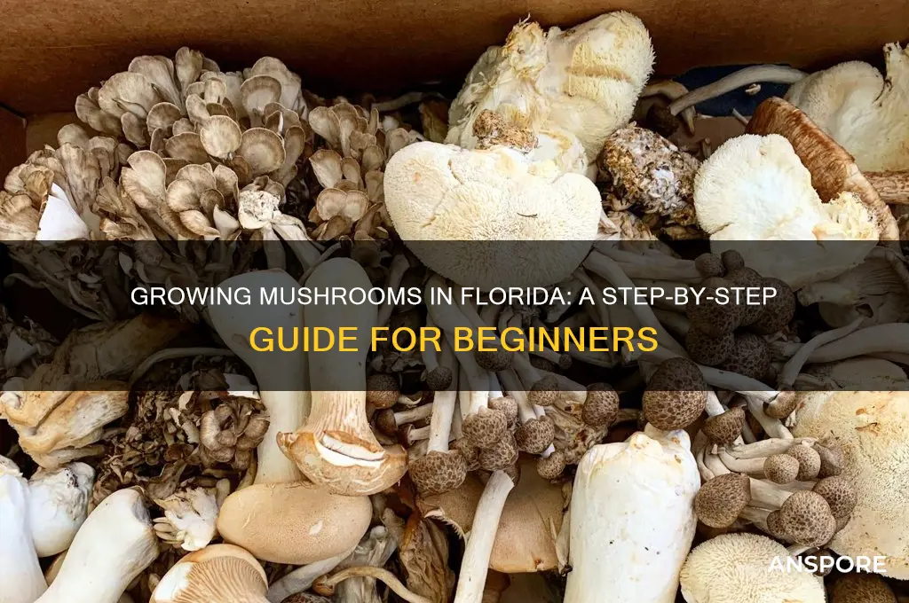 how to grow mushrooms in florida