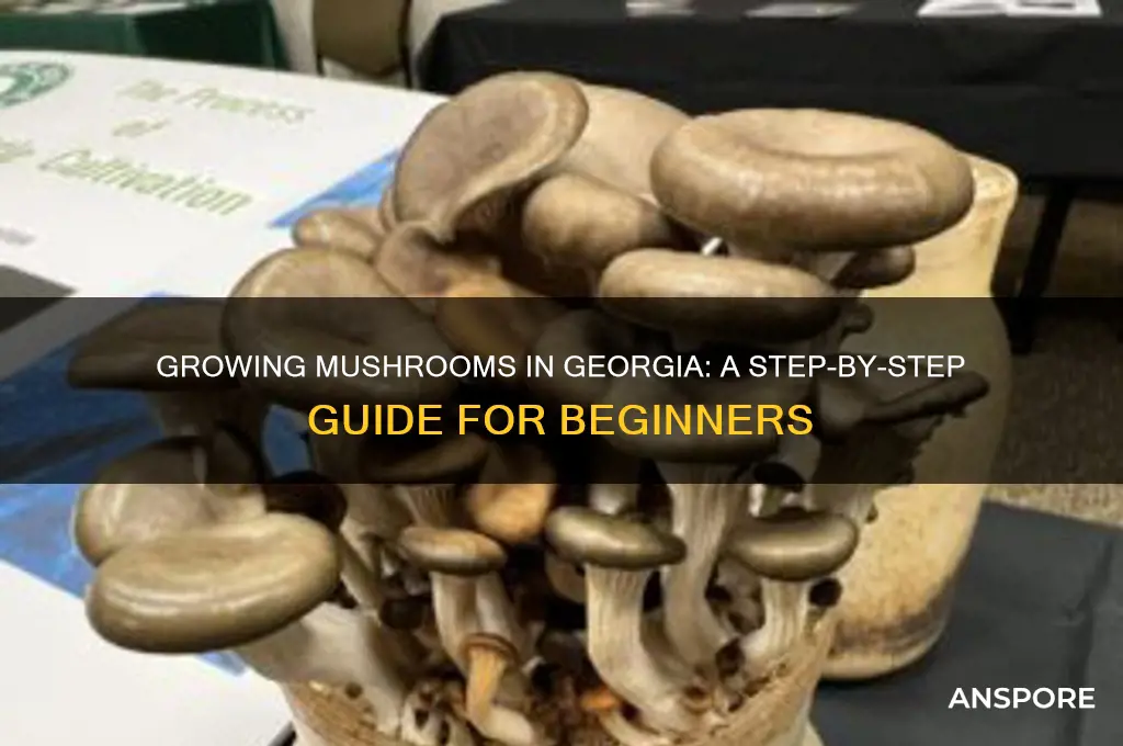 how to grow mushrooms in georgia