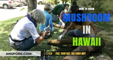 Growing Mushrooms in Hawaii: A Tropical Guide to Cultivation Success