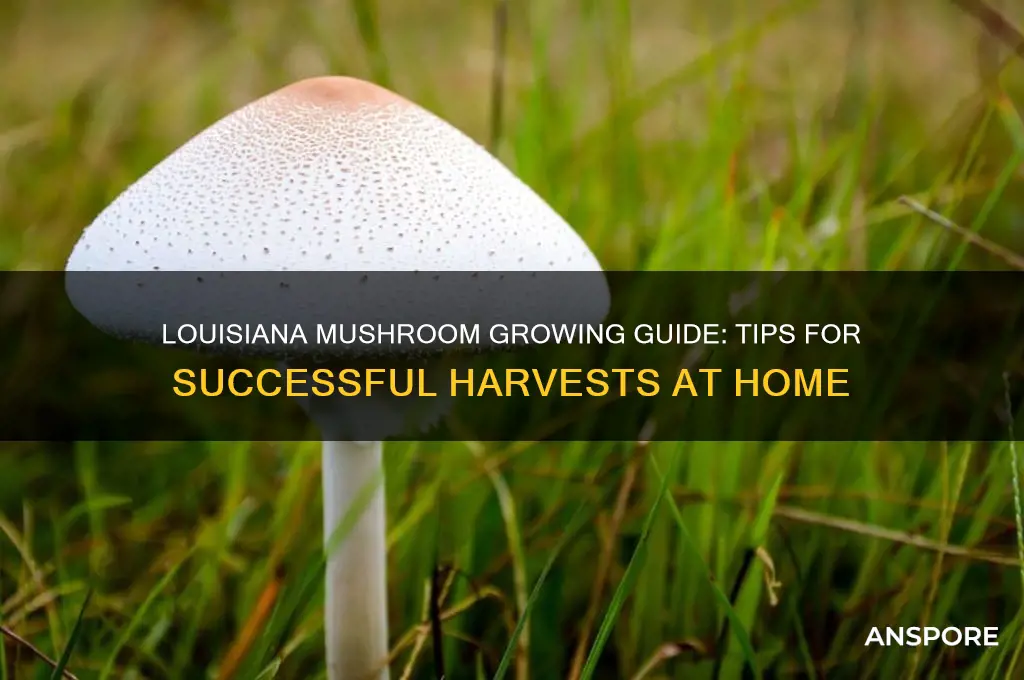 how to grow mushrooms in louisiana
