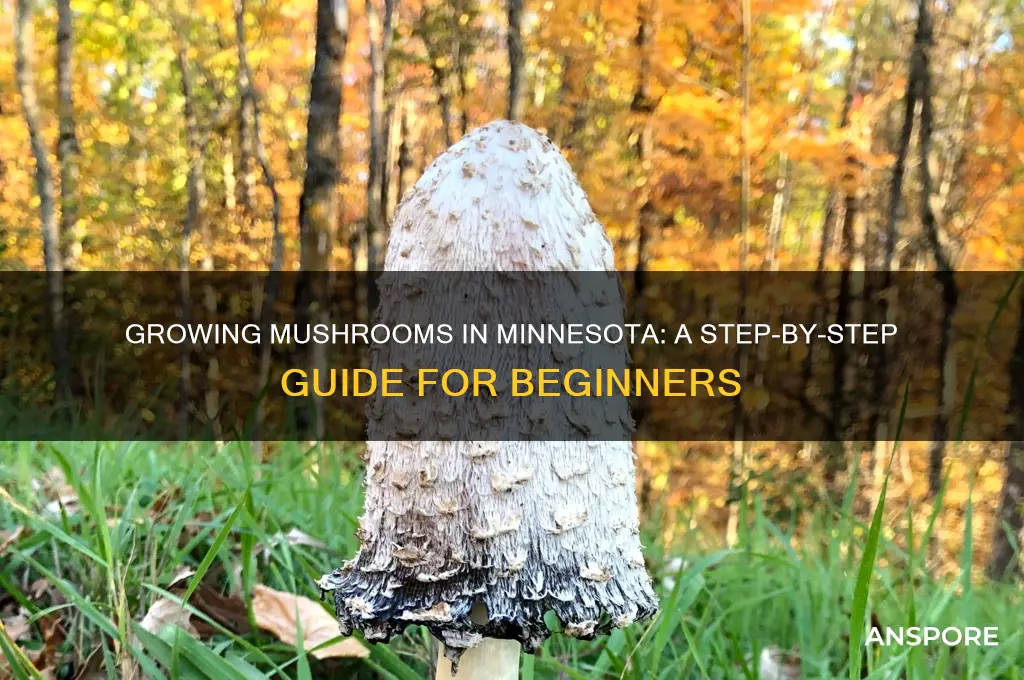 how to grow mushrooms in minnesota