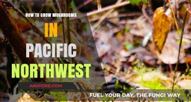 Pacific Northwest Mushroom Growing: A Step-by-Step Guide to Success