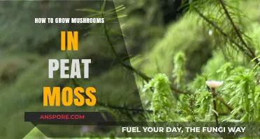 Growing Mushrooms in Peat Moss: A Simple Step-by-Step Guide