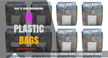Easy Mushroom Cultivation: Growing in Plastic Bags Step-by-Step