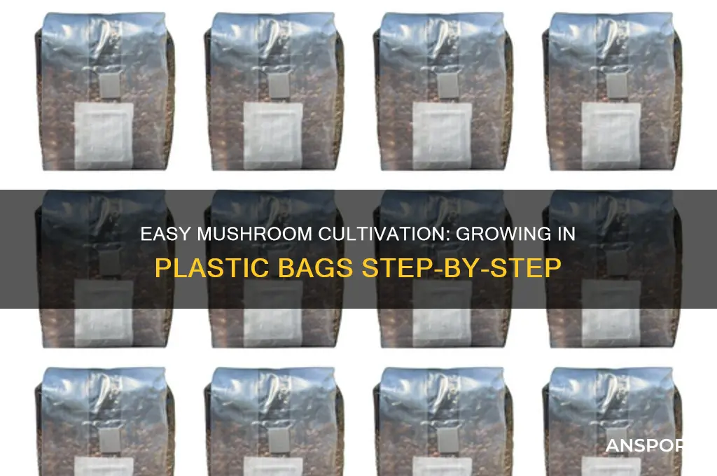 how to grow mushrooms in plastic bags