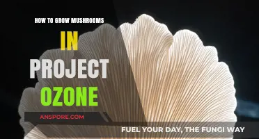 Mastering Mushroom Cultivation in Project Ozone: A Step-by-Step Guide