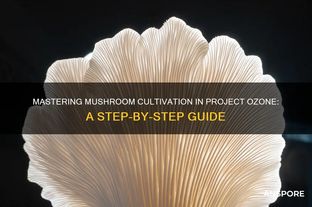 how to grow mushrooms in project ozone