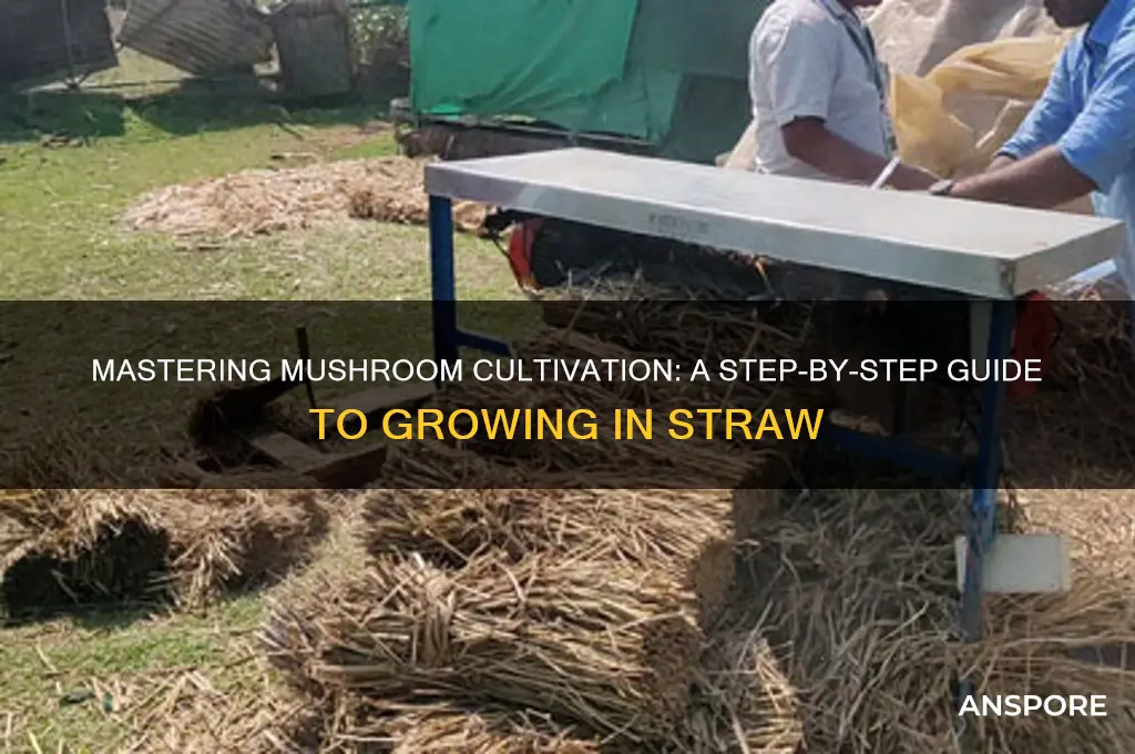 how to grow mushrooms in straw