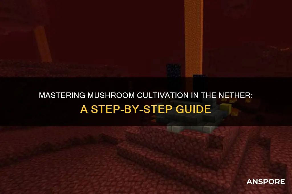 how to grow mushrooms in the nether