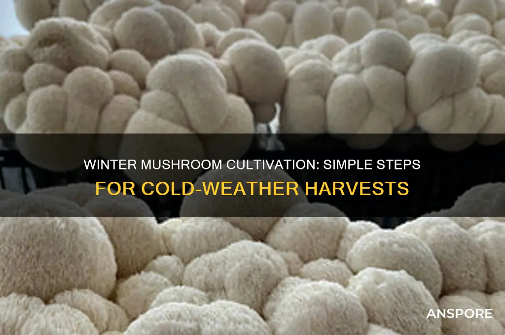 how to grow mushrooms in the winter