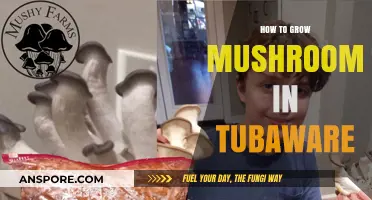 Easy Tupperware Mushroom Growing: A Step-by-Step Guide for Beginners