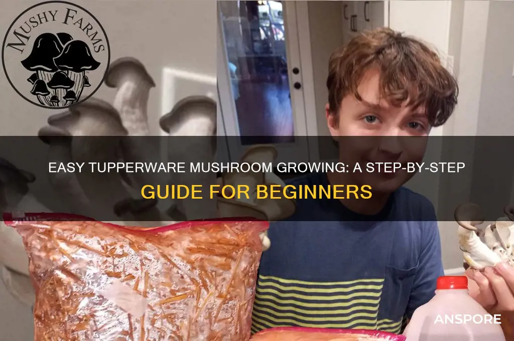 how to grow mushrooms in tubaware