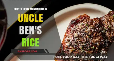 Growing Mushrooms in Uncle Ben's Rice: A Simple Guide