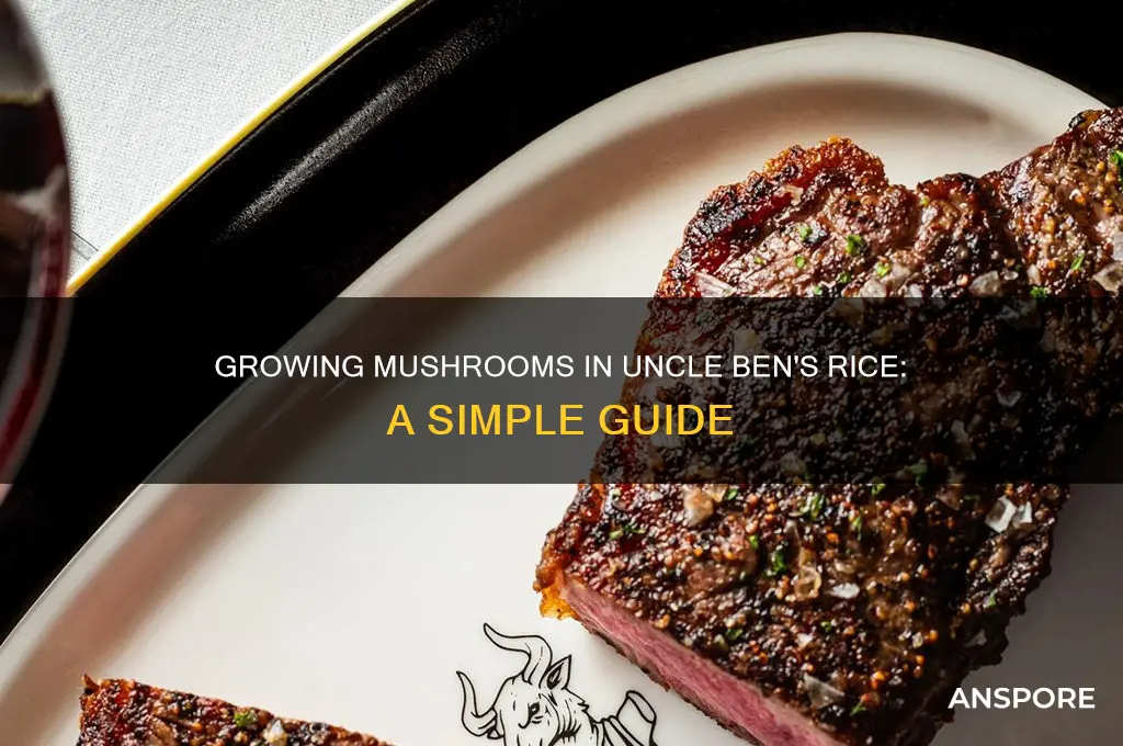 how to grow mushrooms in uncle ben