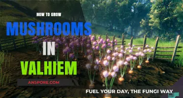 Mastering Mushroom Cultivation in Valheim: A Step-by-Step Guide