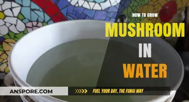 Growing Mushrooms in Water: A Simple Step-by-Step Guide