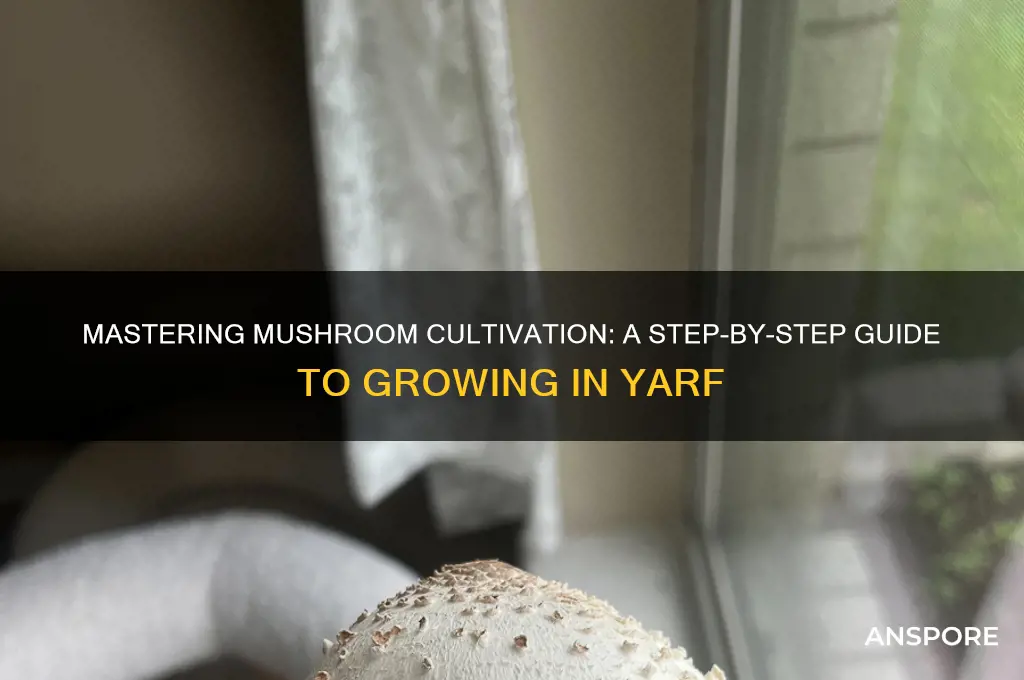 how to grow mushrooms in yarf